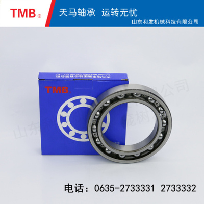 深沟球轴承-6019