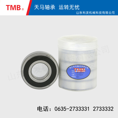 深沟球轴承-6309-2RZ/Z1C3