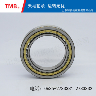 圆柱滚子轴承-NU1019M