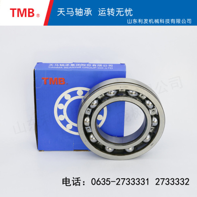 深沟球轴承-6219NC3