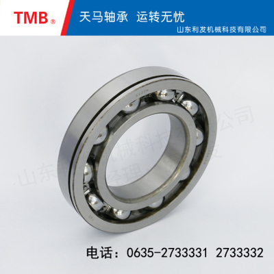 深沟球轴承-6220N